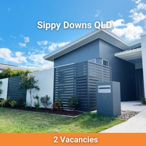 Modern house with two rental vacancies available